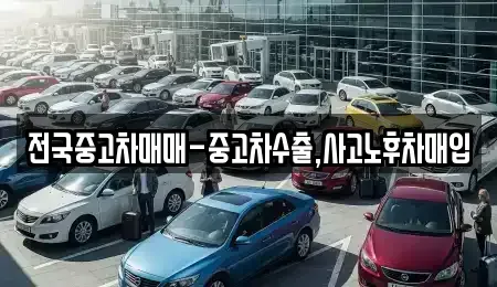 경남 진주시 신안동 중고차 전문 전국중고차매매-중고차수출,사고노후차매입