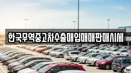 경남 진주시 신안동 중고차 전문 한국무역중고차수출매입매매판매시세