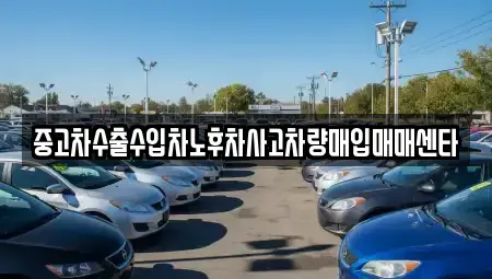 경남 진주시 신안동 중고차매입 전문 중고차수출수입차노후차사고차량매입매매센타