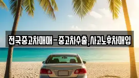 경남 창원시 마산합포구 대창동 중고차매입 전문 전국중고차매매-중고차수출,사고노후차매입