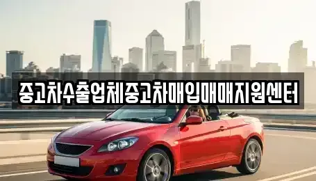 경남 창원시 마산합포구 문화동 중고차 전문 중고차수출업체중고차매입매매지원센터