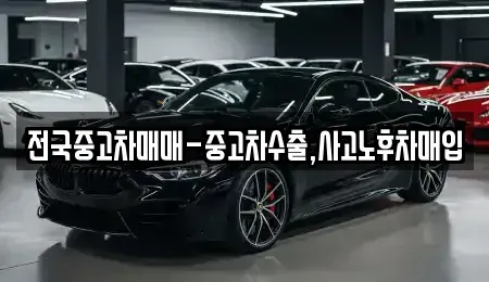 경남 창원시 마산합포구 문화동 중고차매입 전문 전국중고차매매-중고차수출,사고노후차매입