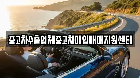 경남 창원시 마산합포구 예곡동 중고차매매 전문 중고차수출업체중고차매입매매지원센터