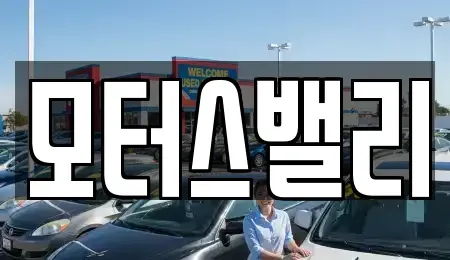 경남 창원시 마산합포구 오동동 중고차 전문 모터스밸리