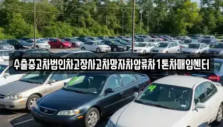 경남 창원시 마산합포구 오동동 중고차 전문 수출중고차법인차고장사고차망자차압류차1톤차매입센터