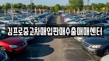 경남 창원시 마산합포구 창포동3가 중고차매입 전문 김프로중고차매입판매수출매매센터