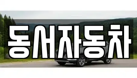 경남 창원시 마산회원구 석전동 중고차매매 전문 동서자동차