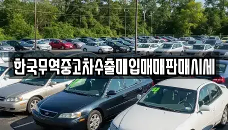 경남 창원시 마산회원구 석전동 중고차매매 전문 한국무역중고차수출매입매매판매시세