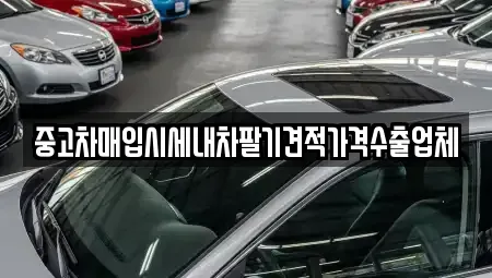 경남 창원시 마산회원구 석전동 중고차매입 전문 중고차매입시세내차팔기견적가격수출업체