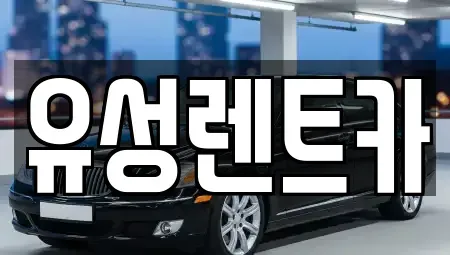 경남 창원시 성산구 용호동 렌트카 전문 유성렌트카