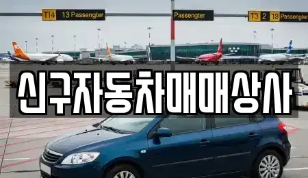 경남 창원시 성산구 용호동 중고차 전문 신구자동차매매상사