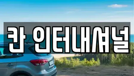 경남 창원시 성산구 용호동 중고차 전문 칸 인터내셔널