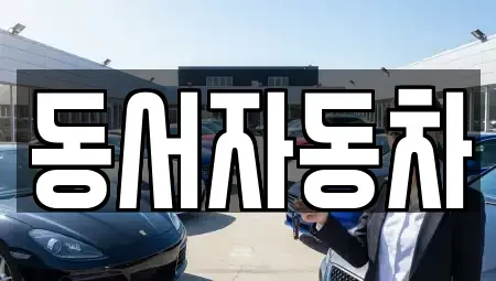 경남 창원시 의창구 중동 중고차매매 전문 동서자동차