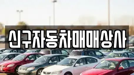 경남 창원시 진해구 속천동 중고차 전문 신구자동차매매상사