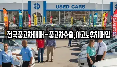경남 창원시 진해구 속천동 중고차매입 전문 전국중고차매매-중고차수출,사고노후차매입