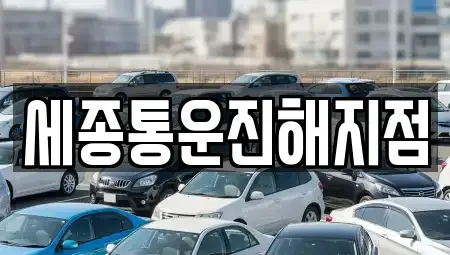 경남 창원시 진해구 장천동 렌트카 전문 세종통운진해지점