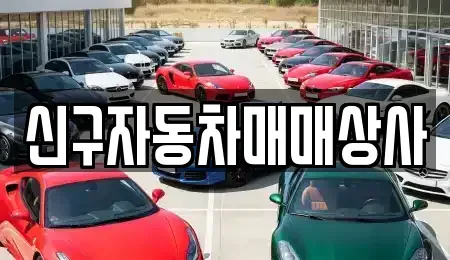 경남 하동군 옥종면 중고차매매 전문 신구자동차매매상사