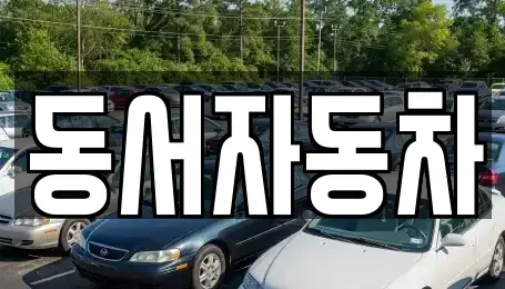 경남 합천군 삼가면 단기렌트카,중고차매입,중고차매매,중고차,렌트카,장기렌트카