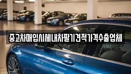 경북 경주시 서부동 중고차 전문 중고차매입시세내차팔기견적가격수출업체