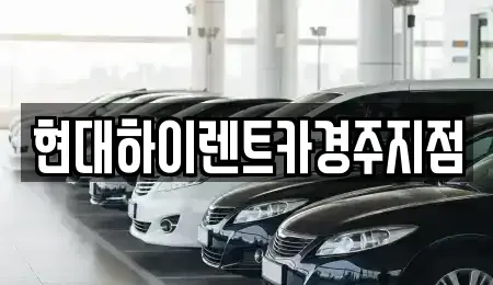 경북 경주시 효현동 렌트카,단기렌트카,장기렌트카,중고차,중고차매매,중고차매입