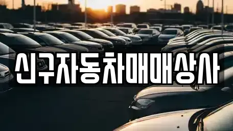 경북 경주시 효현동 중고차 전문 신구자동차매매상사