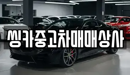 경북 경주시 효현동 중고차 전문 씽카중고차매매상사
