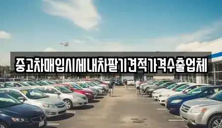경북 경주시 효현동 중고차매입 전문 중고차매입시세내차팔기견적가격수출업체