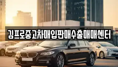 경북 고령군 운수면 중고차 전문 김프로중고차매입판매수출매매센터