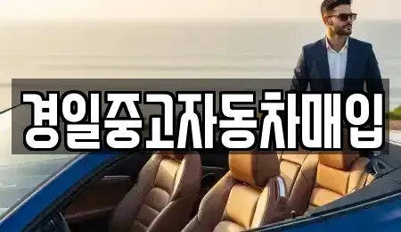 경북 구미시 시미동 중고차 전문 경일중고자동차매입