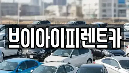 경북 구미시 양호동 렌트카 전문 브이아이피렌트카