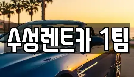 경북 구미시 양호동 렌트카 전문 수성렌트카 1팀