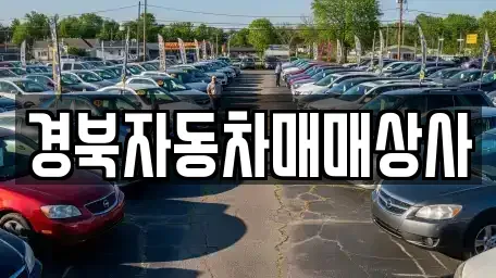 경북 김천시 황금동 중고차매매 전문 경북자동차매매상사