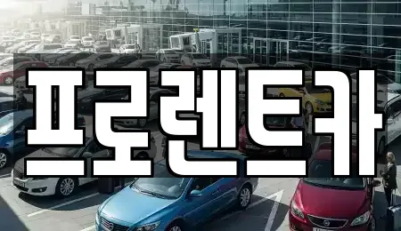 경북 안동시 대석동 렌트카 전문 프로렌트카