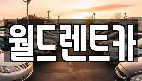 경북 안동시 정하동 렌트카 전문 월드렌트카