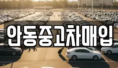 경북 안동시 정하동 중고차매매 전문 안동중고차매입