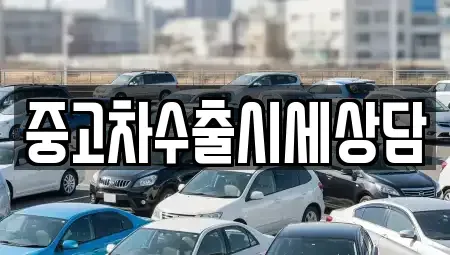 경북 안동시 정하동 중고차매매 전문 중고차수출시세상담