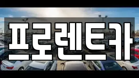 경북 안동시 화성동 렌트카 전문 프로렌트카