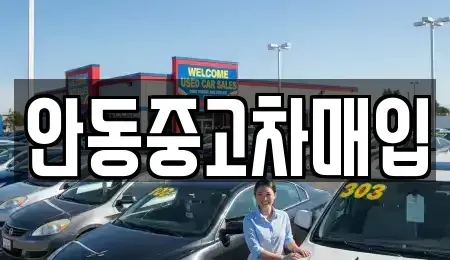 경북 안동시 화성동 중고차 전문 안동중고차매입