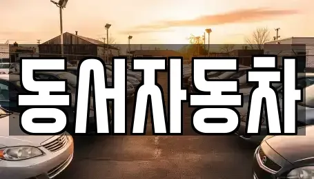 경북 영천시 매산동 중고차 전문 동서자동차