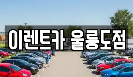 경북 울릉군 울릉읍 렌트카 전문 이렌트카 울릉도점