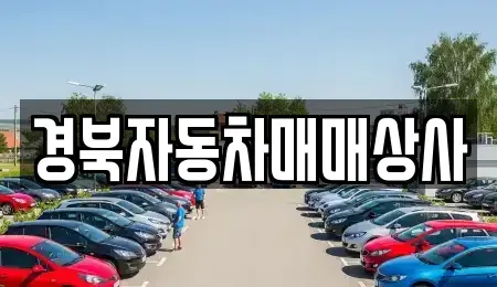 경북 의성군 의성읍 중고차 전문 경북자동차매매상사