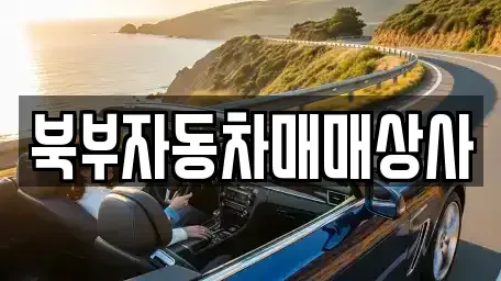 경북 의성군 의성읍 장기렌트카,중고차,렌트카,단기렌트카,중고차매입,중고차매매