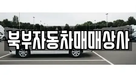경북 의성군 의성읍 중고차,렌트카,중고차매입,중고차매매,장기렌트카,단기렌트카