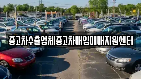 경북 의성군 의성읍 중고차 전문 중고차수출업체중고차매입매매지원센터