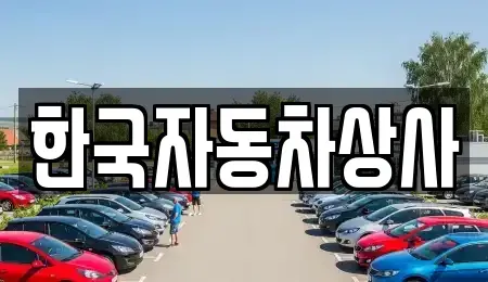 경북 의성군 의성읍 중고차 전문 한국자동차상사