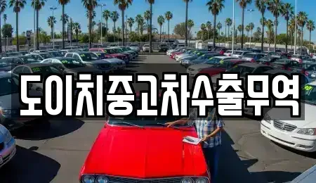 경북 의성군 의성읍 중고차매매 전문 도이치중고차수출무역