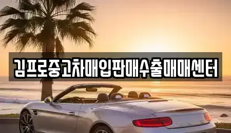 경북 의성군 의성읍 중고차매입 전문 김프로중고차매입판매수출매매센터