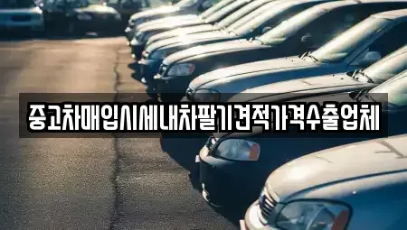 경북 의성군 의성읍 중고차매입 전문 중고차매입시세내차팔기견적가격수출업체