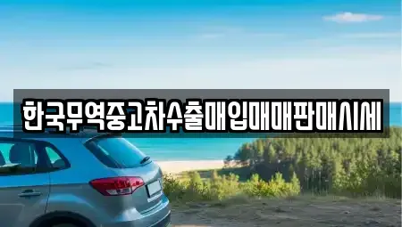 경북 의성군 의성읍 중고차매입 전문 한국무역중고차수출매입매매판매시세