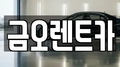 경북 칠곡군 지천면 렌트카 전문 금오렌트카